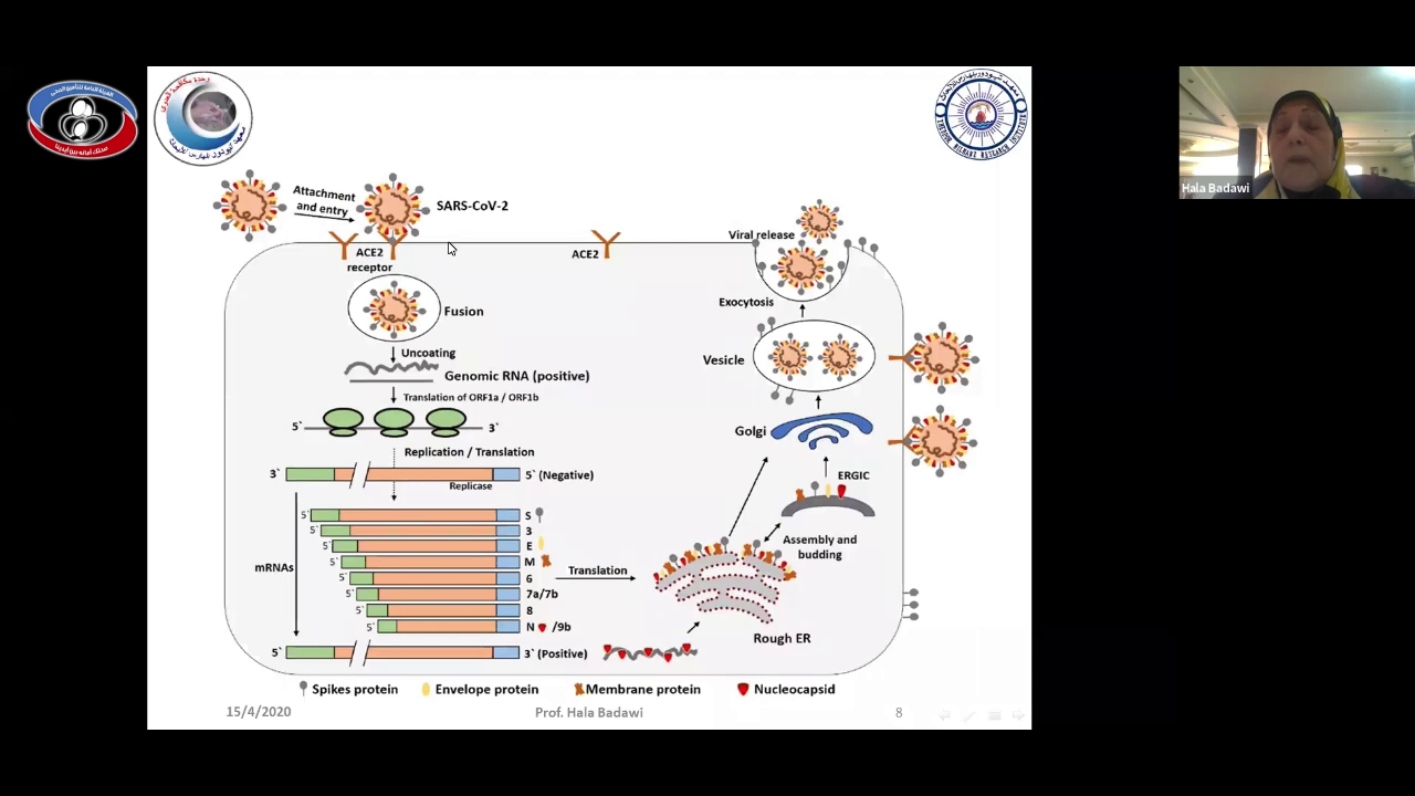 webinar